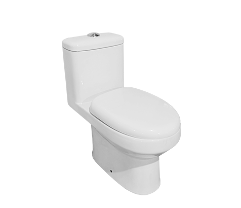 One Piece Toilet – 613