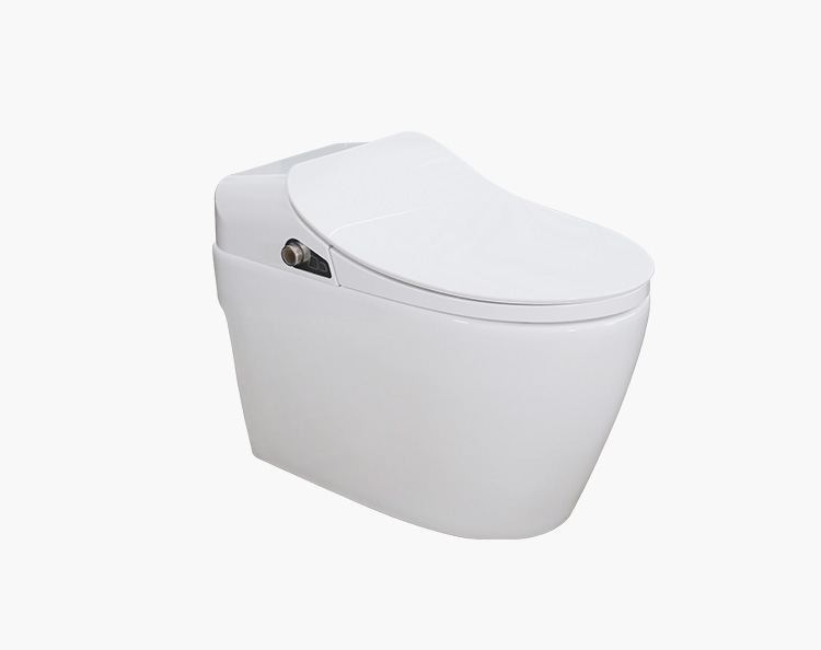 Smart Toilet-10-102