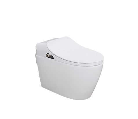 Smart Toilet-10-102